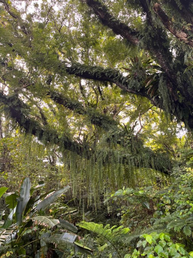 Naveria Heights Lodge Savusavu Εξωτερικό φωτογραφία