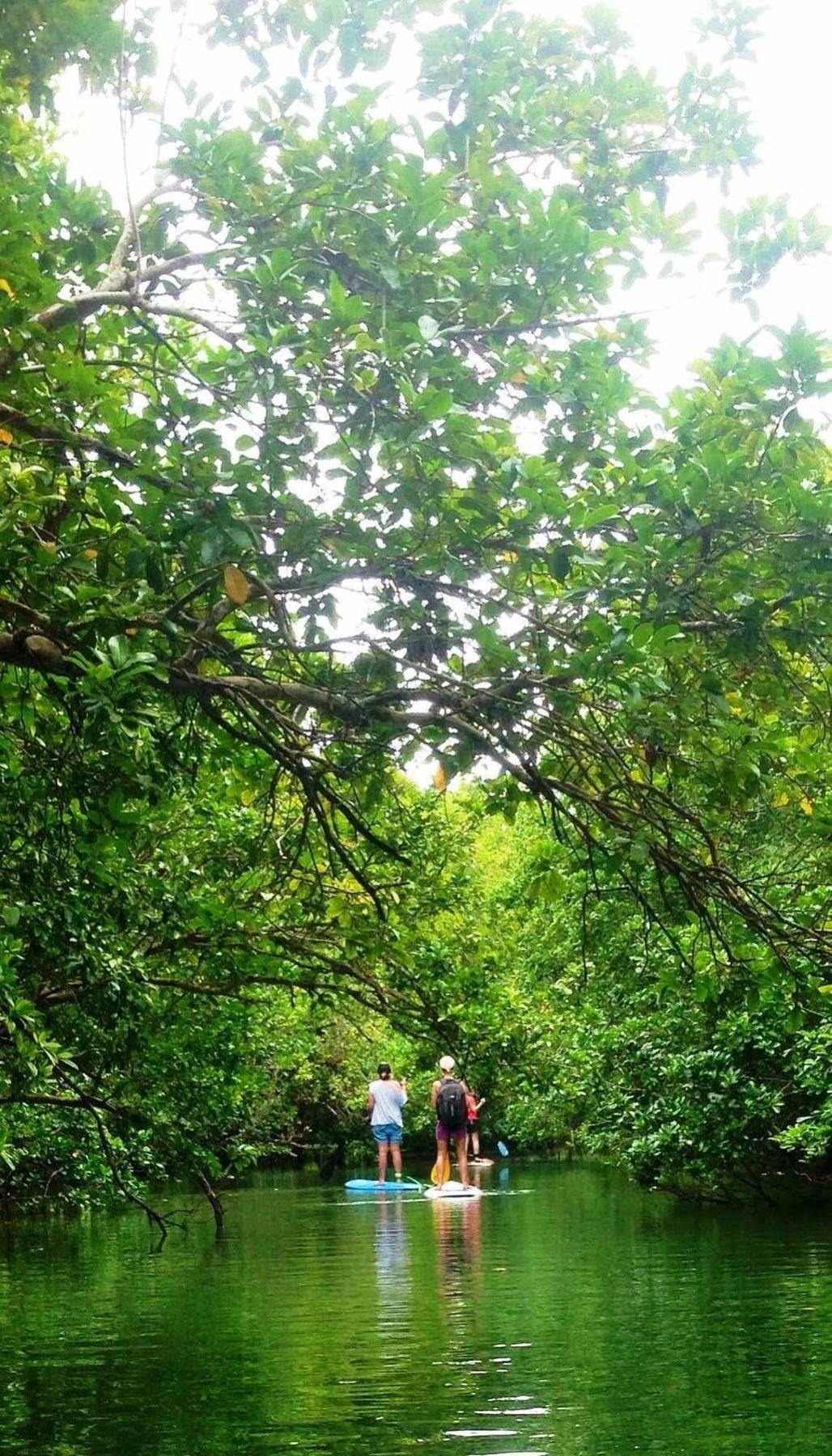 Naveria Heights Lodge Savusavu Εξωτερικό φωτογραφία